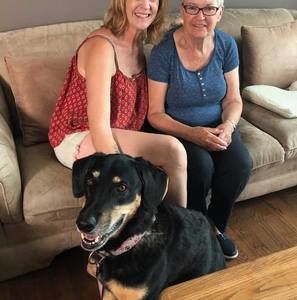 Meet your Posher, Janet